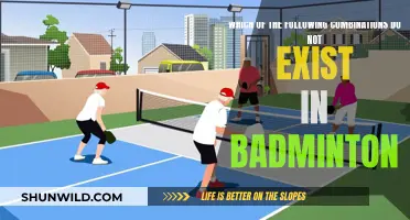 Unusual Badminton Combinations: What Doesn't Work and Why?