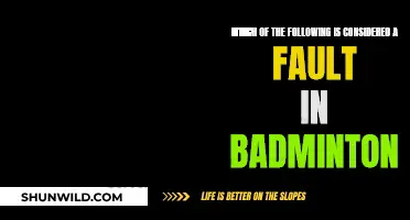 Badminton Faults: Understanding the Rules for Success