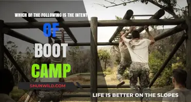 Understanding the Core Intent Behind Boot Camp Programs