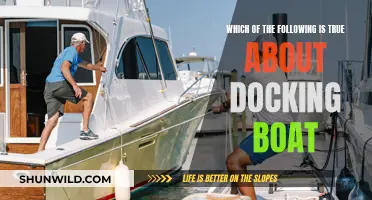 Docking Boat: Essential Truths Every Sailor Should Know