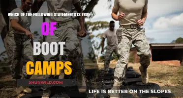 Unveiling the Truth: What Boot Camps Really Offer and Achieve