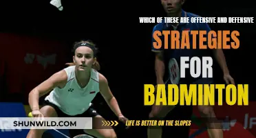 Strategies for Badminton: Offense and Defense