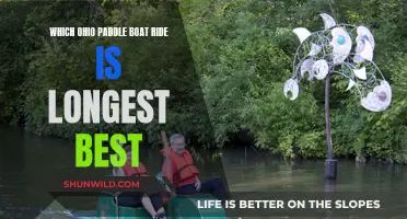 Ohio's Paddle Boat Odyssey: The Ultimate Adventure