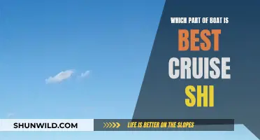 Cruise Ships: The Best Boat Experience