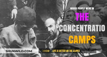 Who Were the Victims: Exploring Concentration Camp Inmates' Identities