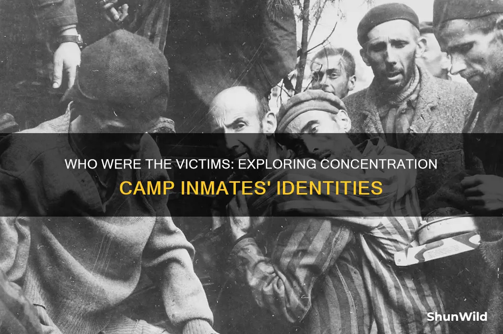 which people were in the concentration camps
