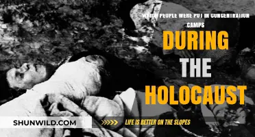 Holocaust Victims: Who Was Imprisoned in Concentration Camps?