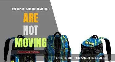 The Unmoving Points: Exploring the Static Elements on the Basketball Court