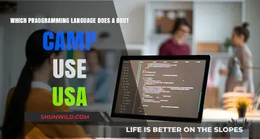Top Programming Languages Taught in USA Coding Bootcamps
