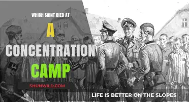 Saint Maximilian Kolbe: Martyrdom and Sacrifice in Auschwitz Concentration Camp