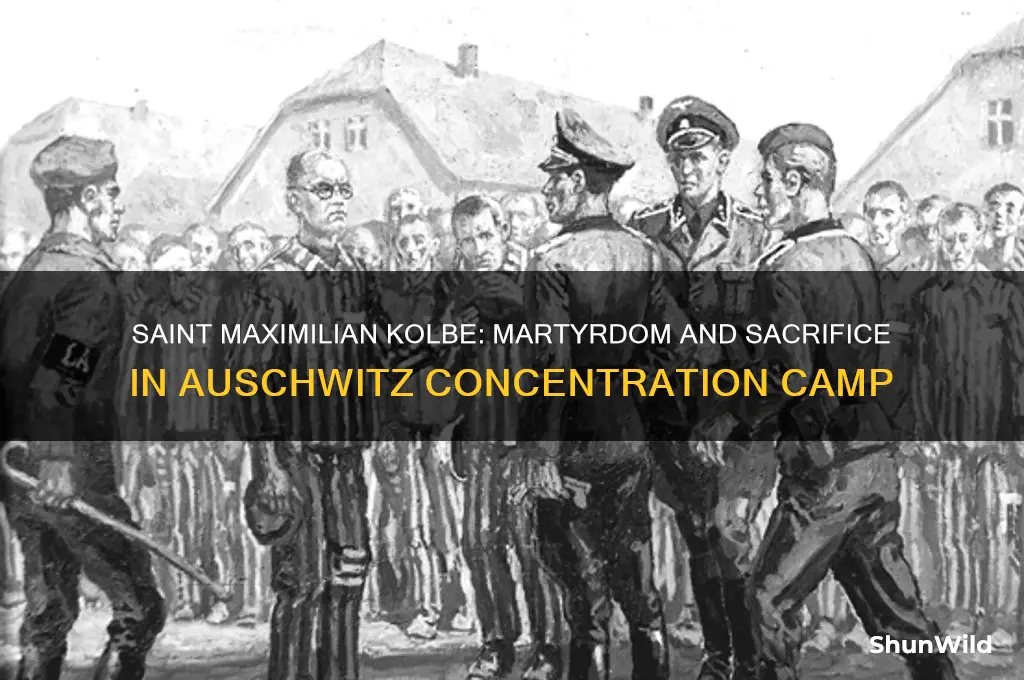which saint died at a concentration camp