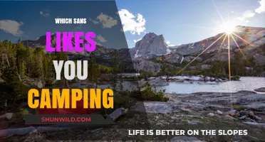 Discover the Perfect Camping Spot: A Guide to Finding Your Ideal Site