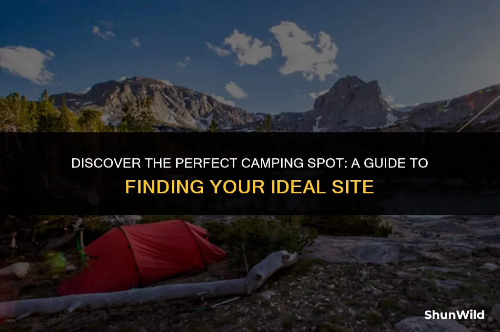 which sans likes you camping