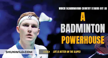 Badminton's Scandinavian Powerhouse: Denmark's Dominance Unravelled