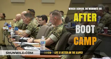 Post-Boot Camp: Which School Do Marines Attend Next?