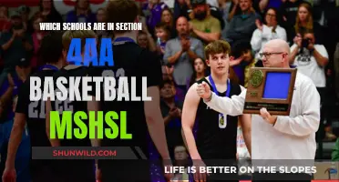 Basketball Schools in Section 4AA: MSHSL Guide