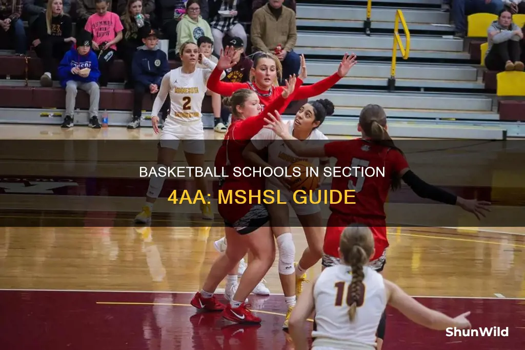 which schools are in section 4aa basketball mshsl