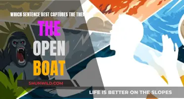 The Open Boat: A Tale of Man Against Nature's Fury