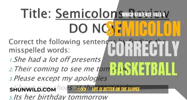 Semicolon Savvy: Correct Usage in Basketball Contexts