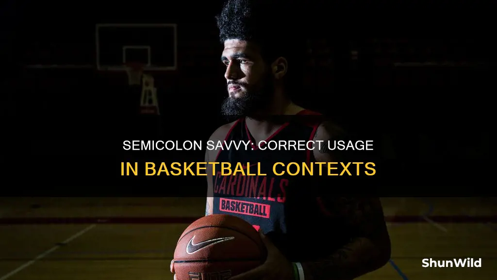 which sentence uses a semicolon correctly basketball