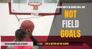 Shots Beyond the Field Goal in Basketball