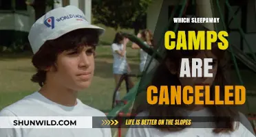Summer Shake-Up: Sleepaway Camps Facing Cancellations - What You Need to Know