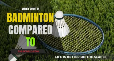 Badminton's Cousins: Similar Sports to Know About
