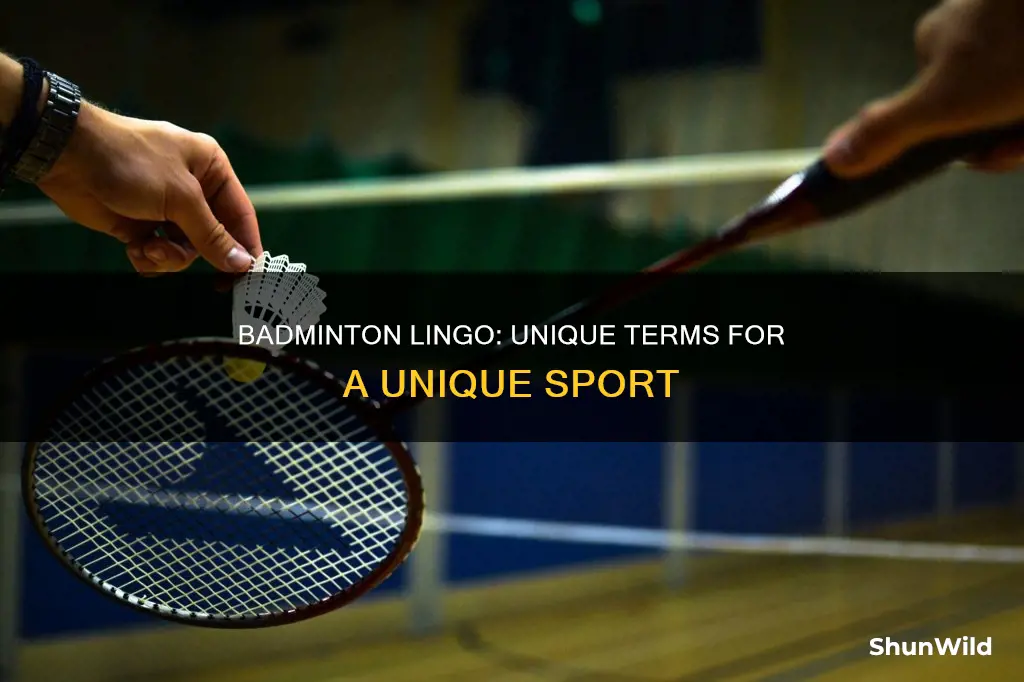 which sports terminology is specific to badminton