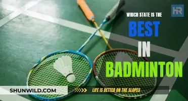 Badminton's Best: Which State Reigns Supreme?