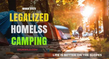 Homeless Camping Legalized: A State's Compassionate Approach to Crisis