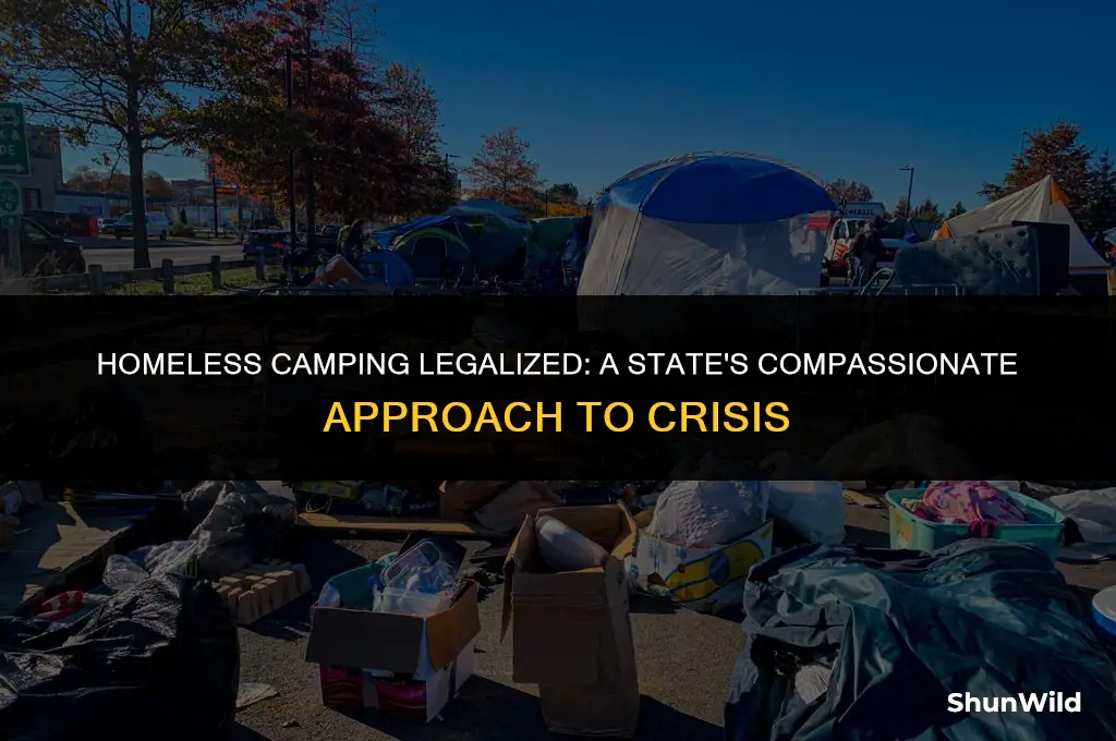 which state legalized homelss camping