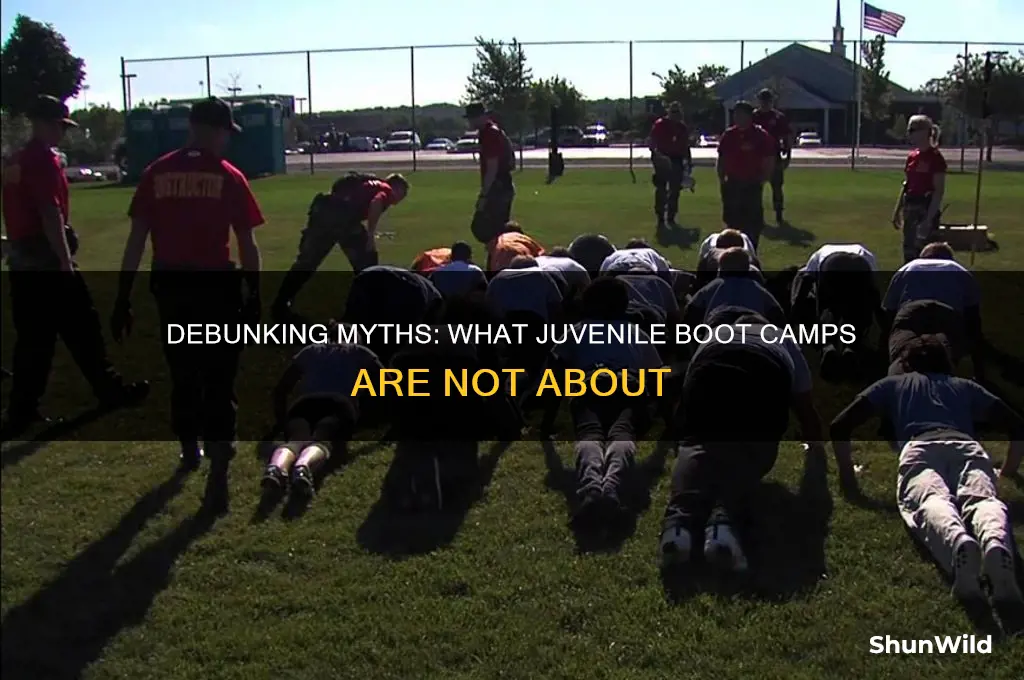 which statement does not accurately describe boot camps for juveniles