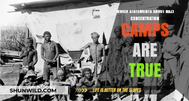 Uncovering Truths: Debunking Myths About Nazi Concentration Camps