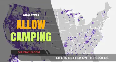 Exploring the Great Outdoors: A Guide to Camping-Friendly States