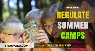 Exploring State Regulations for Summer Camps: A Comprehensive Guide