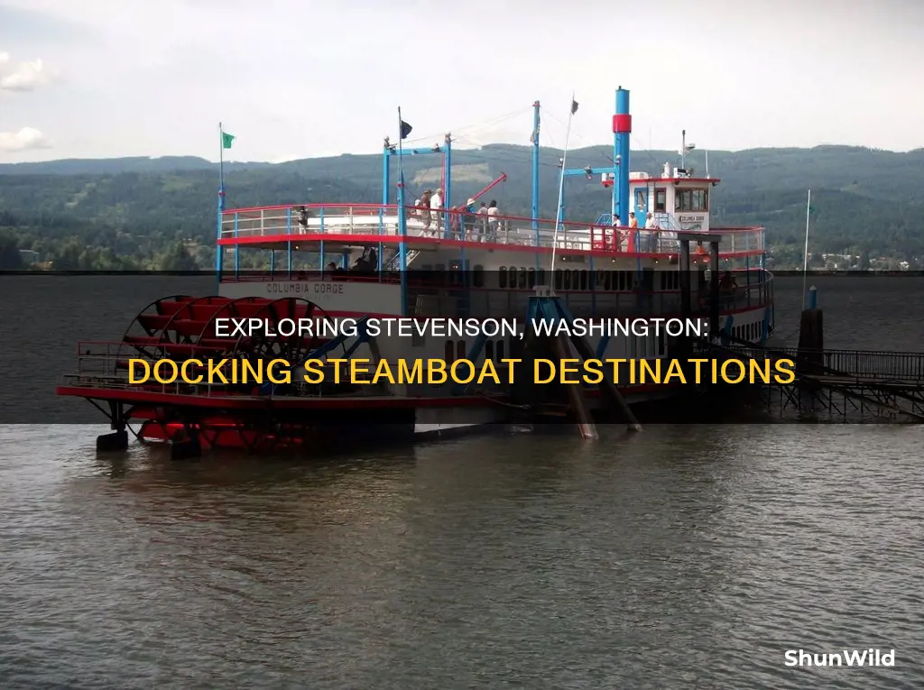 which steam boat docks in stevenson washington