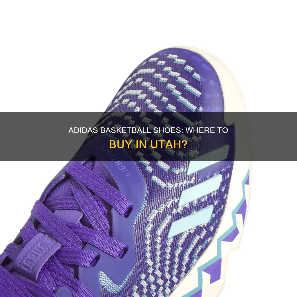 which stores sell adidas basketball shoes in utah