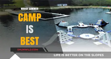 Discover the Perfect Summer Camp: A Guide for Parents and Kids
