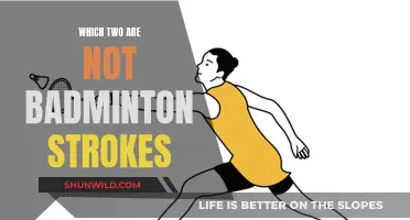 What's Not a Badminton Stroke?