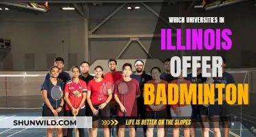 Illinois Badminton Programs: University Options