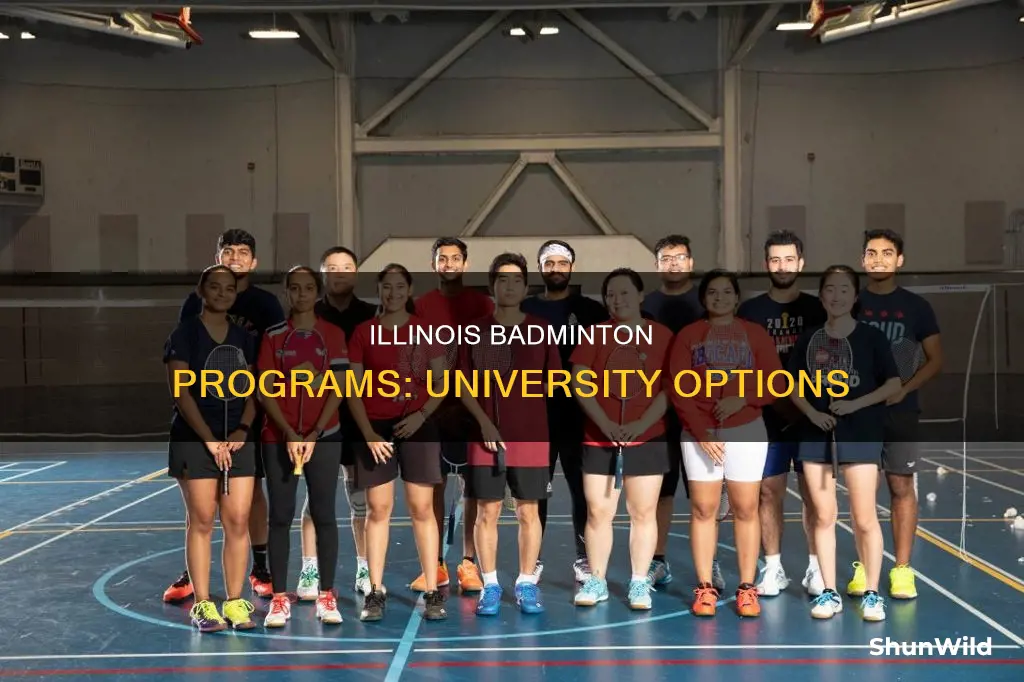 which universities in illinois offer badminton