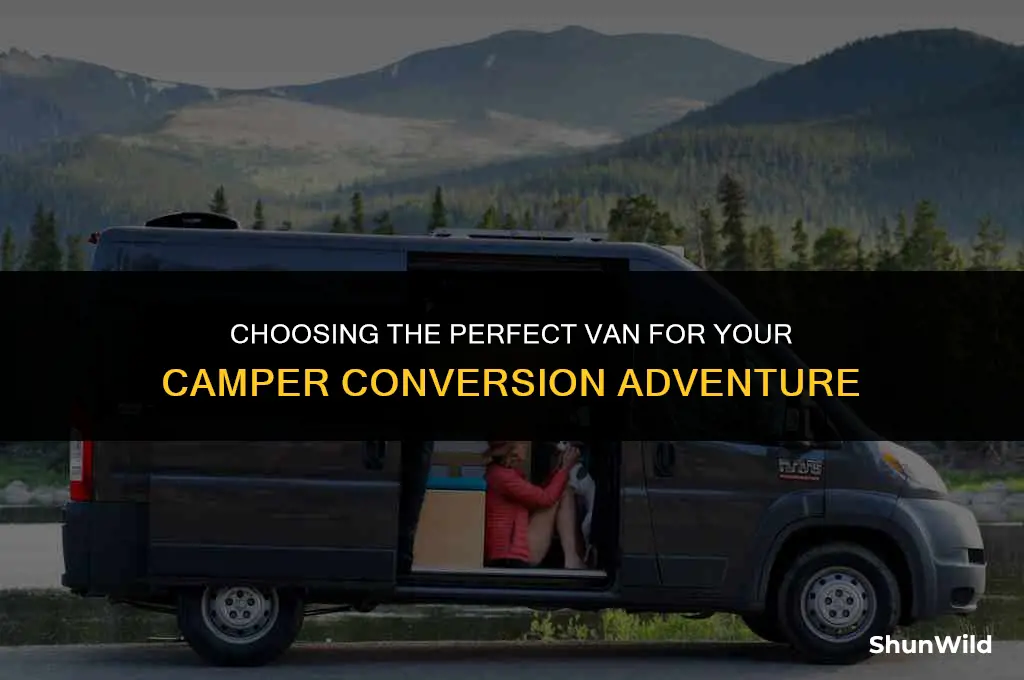 which van for camper conversion
