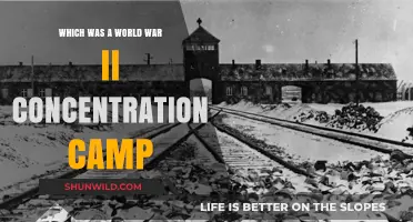 Unveiling the Horrors: A WWII Concentration Camp Revealed