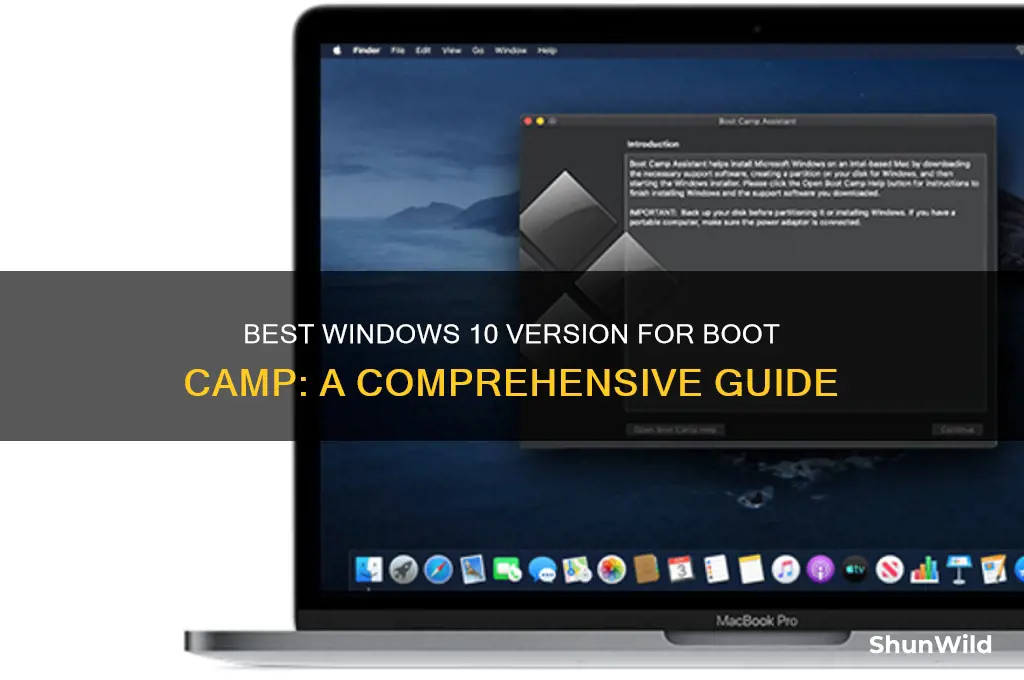 which windows 10 is best for boot camp