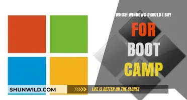 Best Windows Versions for Boot Camp: A Comprehensive Guide