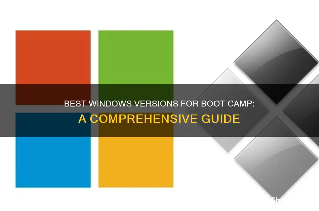 which windows should i buy for boot camp
