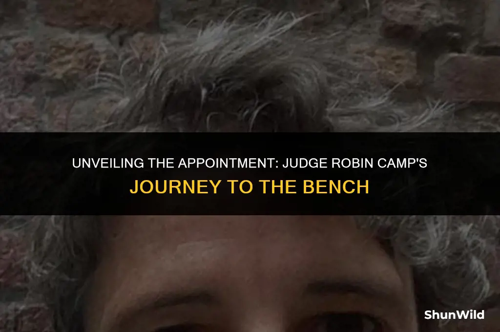who appointed judge robin camp