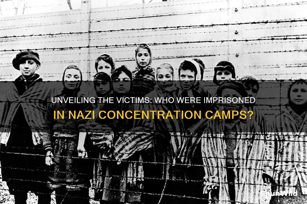 who are in nazi concentration camp