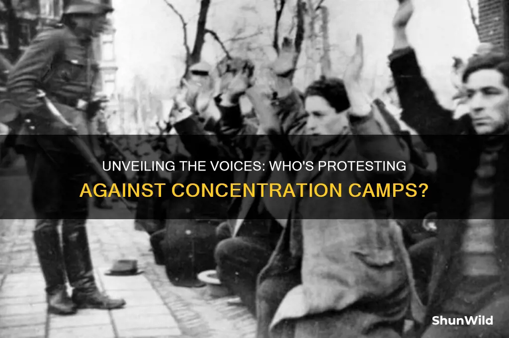 who are protesting for concentration camps