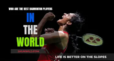 Top Badminton Athletes: World's Best Players